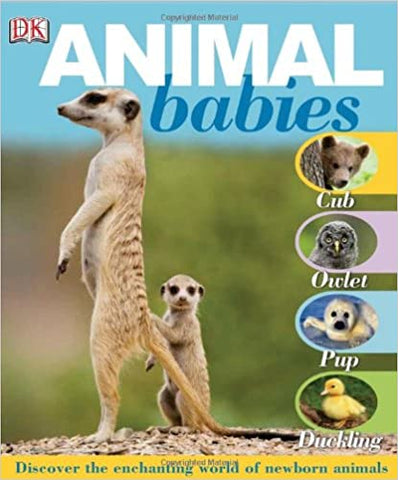Animal Babies