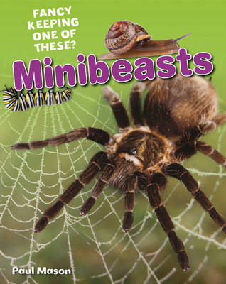 Minibeasts: Age 5-6, average readers - White Wolves Non Fiction (Paperback) Paul Mason (author)