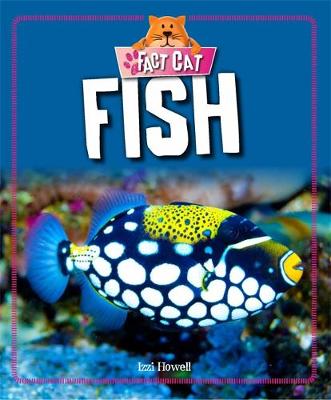 Fact Cat: Animals: Fish - Fact Cat: Animals (Paperback) Izzi Howell (author)