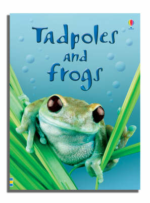 Tadpoles and Frogs - Beginners Series (Hardback) Anna Milbourne (author)