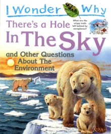I Wonder Why There's a Hole in the Sky : and Other Questions About the Environment by Sean Callery (Author)