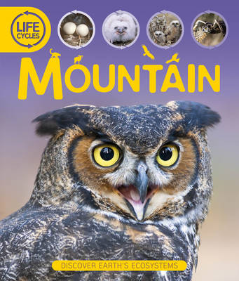 Life Cycles: Mountain - Life Cycles (Hardback) Sean Callery (author)