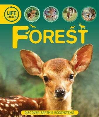 Life Cycles: Forest - Life Cycles (Paperback) Sean Callery (author)
