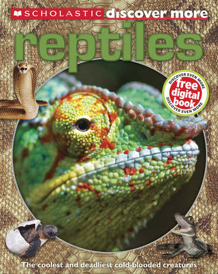 Reptiles - Discover More (Paperback) Penny Arlon (author)