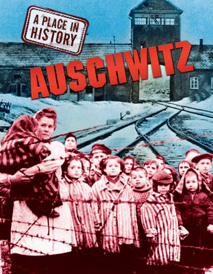 Auschwitz - A Place in History 1 (Hardback)