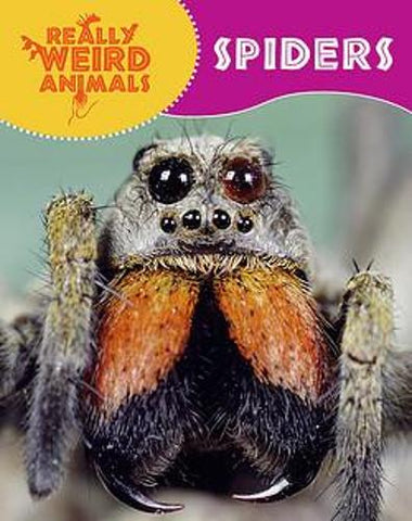 Really Weird Animals: Spiders - Really Weird Animals (Paperback) Clare Hibbert (author)