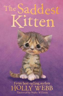 The Saddest Kitten (Paperback) Holly Webb (author), Sophy Williams (illustrator)