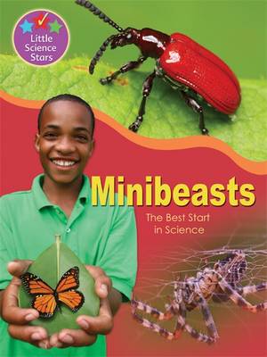 Little Science Stars: Minibeasts - Little Science Stars (Paperback) Jenny Vaughan (author)