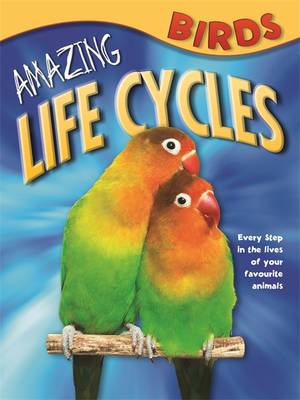 Amazing Life Cycles: Birds - Amazing Life Cycles No. 3 (Paperback)