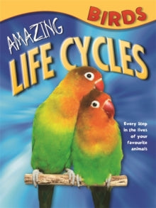 Life Cycles BIRDS