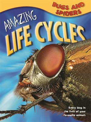 Amazing Life Cycles: Bugs and Spiders - Amazing Life Cycles (Paperback)